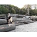 AKCE POUZE DO KONCE ROKU - Palivové dřevo - rovnané - tvrdé 1pmR